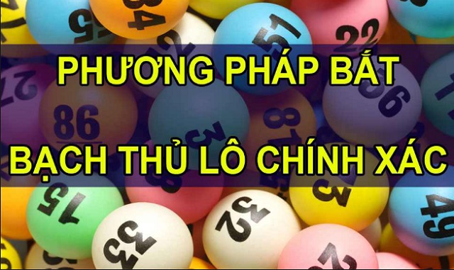 bắt lô bạch thủ chính xác nhất