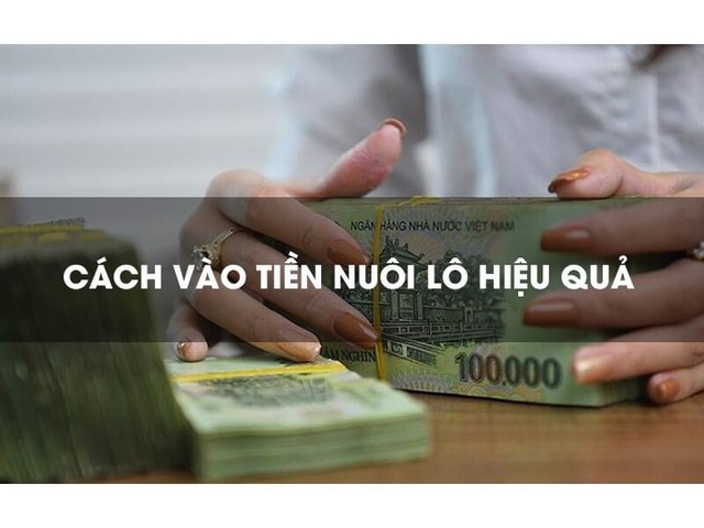 Vào tiền nuôi cầu thu lợi nhuận khủng